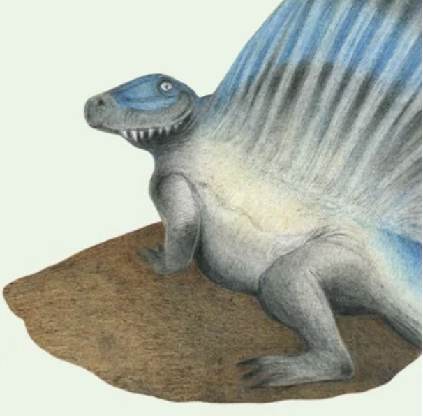 Què en sabem dels canvis climàtics a l'època dels Dinosaures?